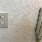 照明スイッチプレート交換